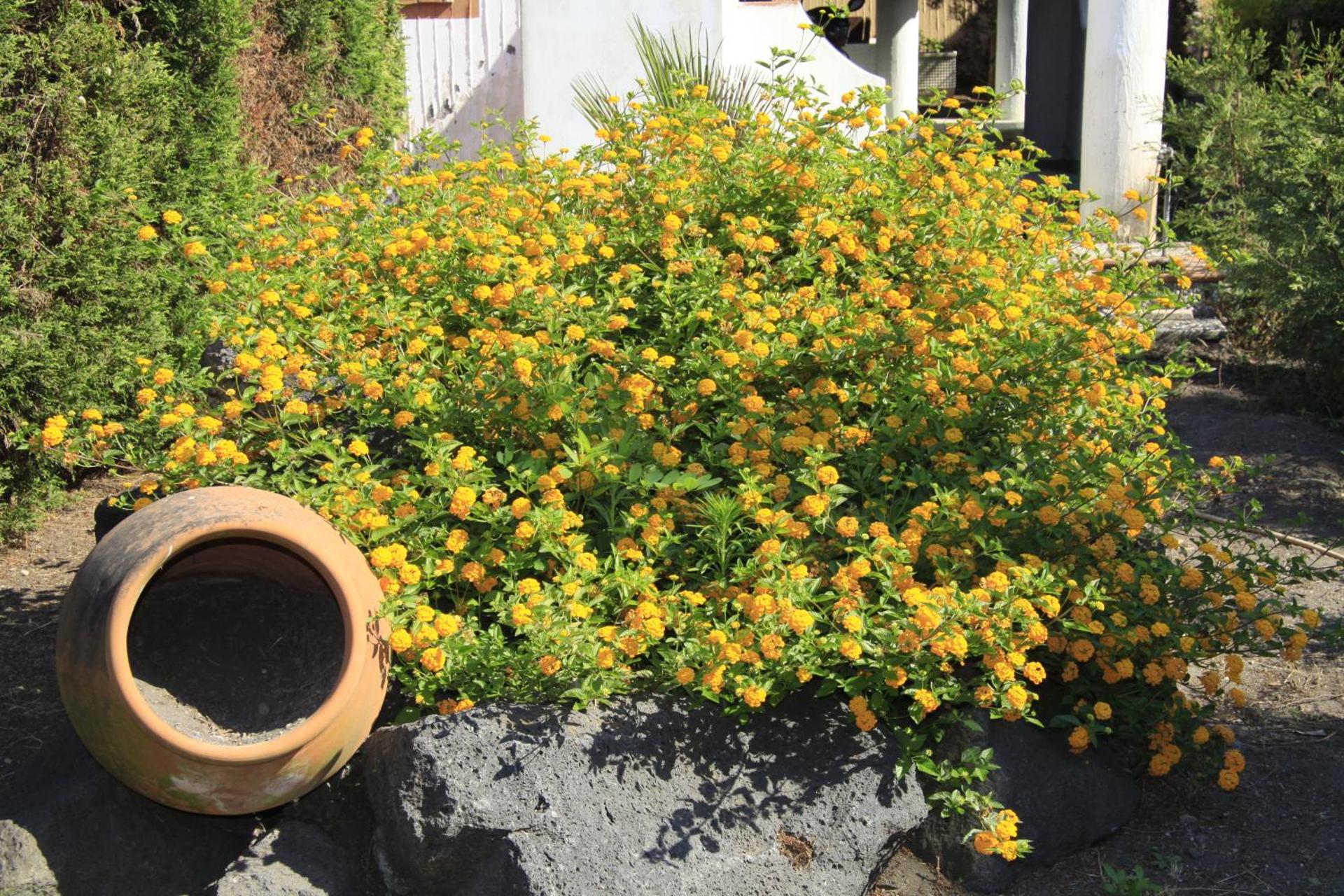 Vulcano Blu Residence - Photo 52