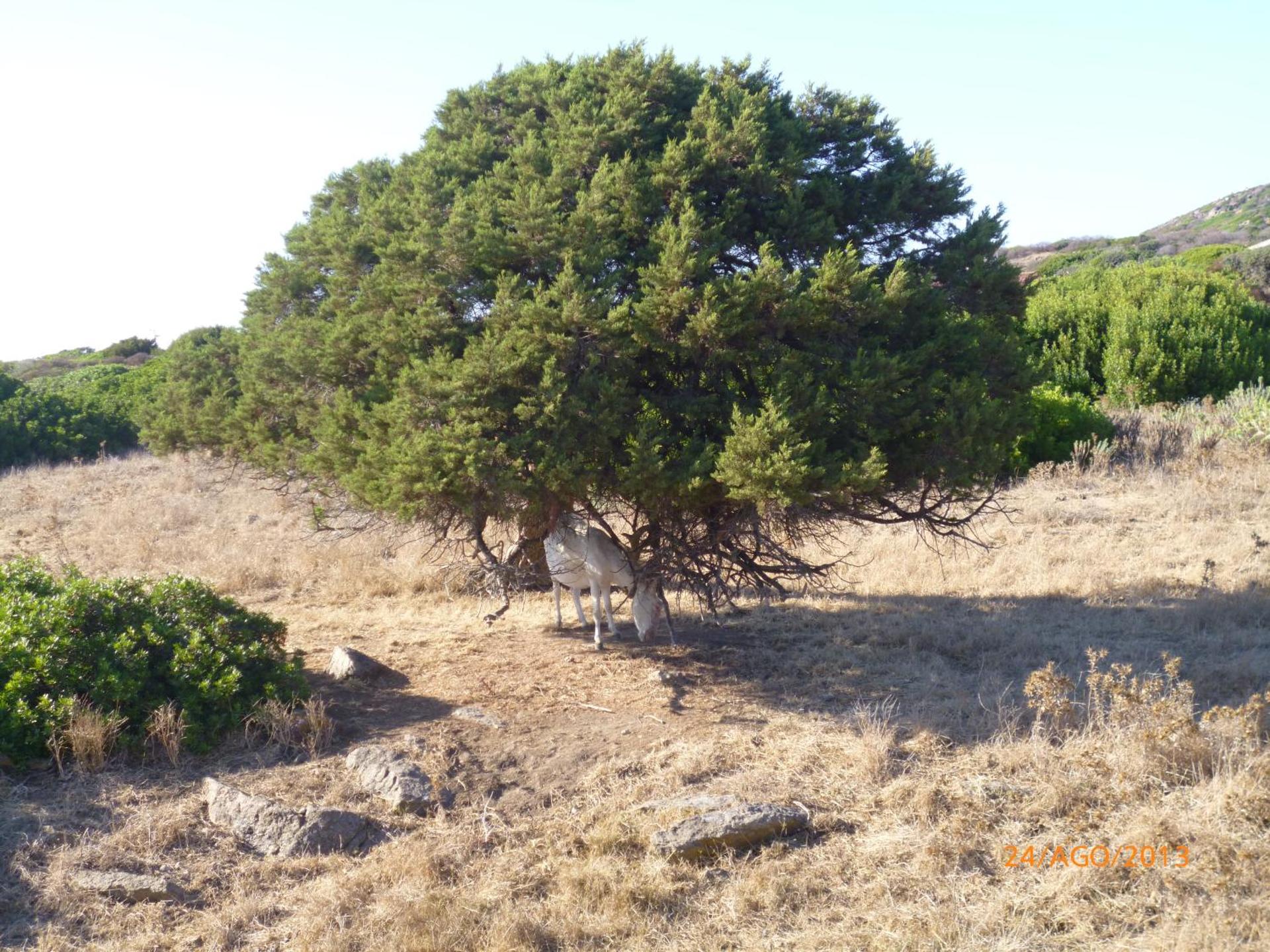 Agriturismo Cuile de Molino - Photo 123