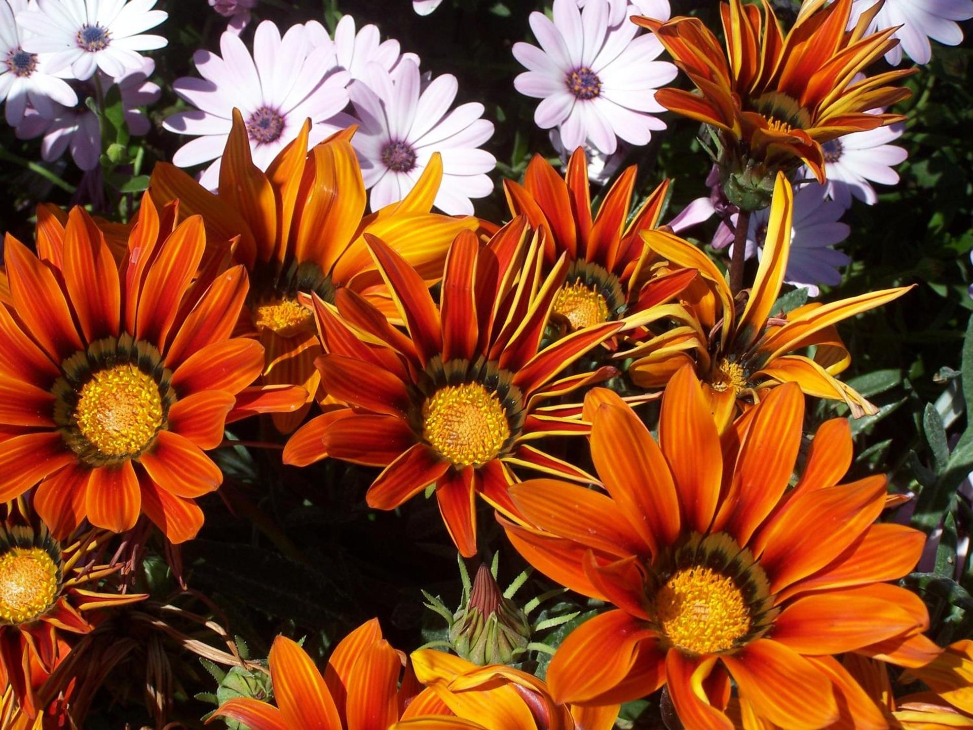 Agriturismo Cuile de Molino - Photo 134