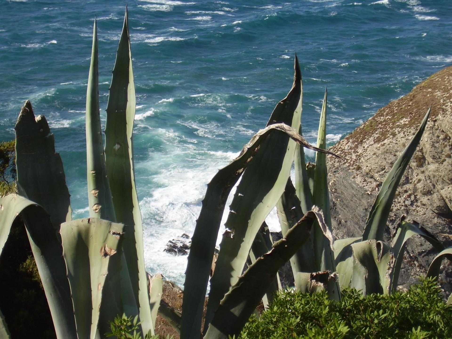 Agriturismo Cuile de Molino - Photo 135