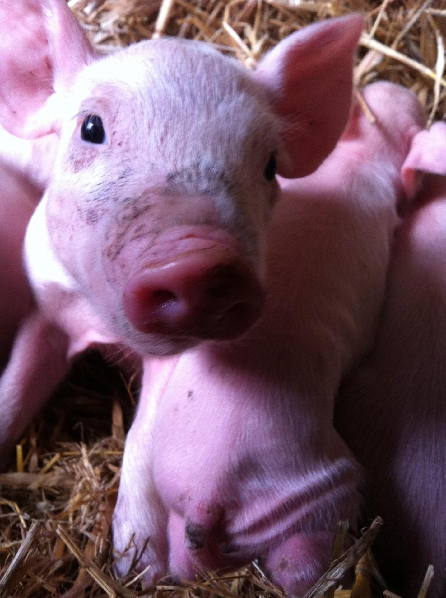 Agriturismo Cuile de Molino - Photo 145