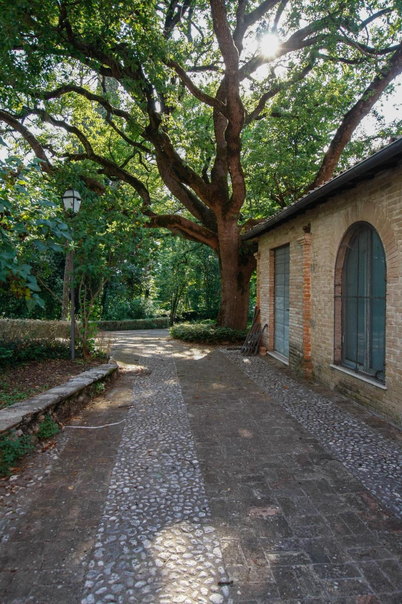 Park Hotel Villa Potenziani - Photo 26