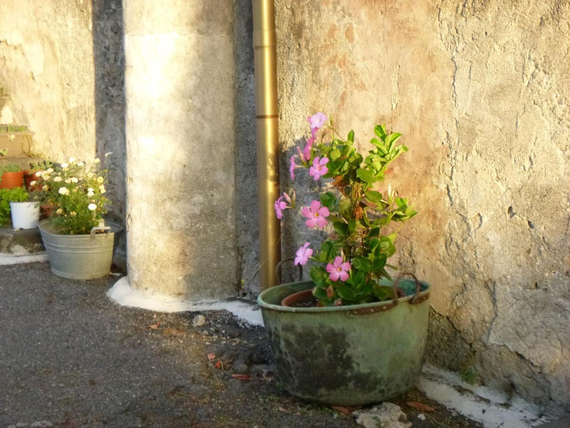 Baglio Delle Rose - Photo 51