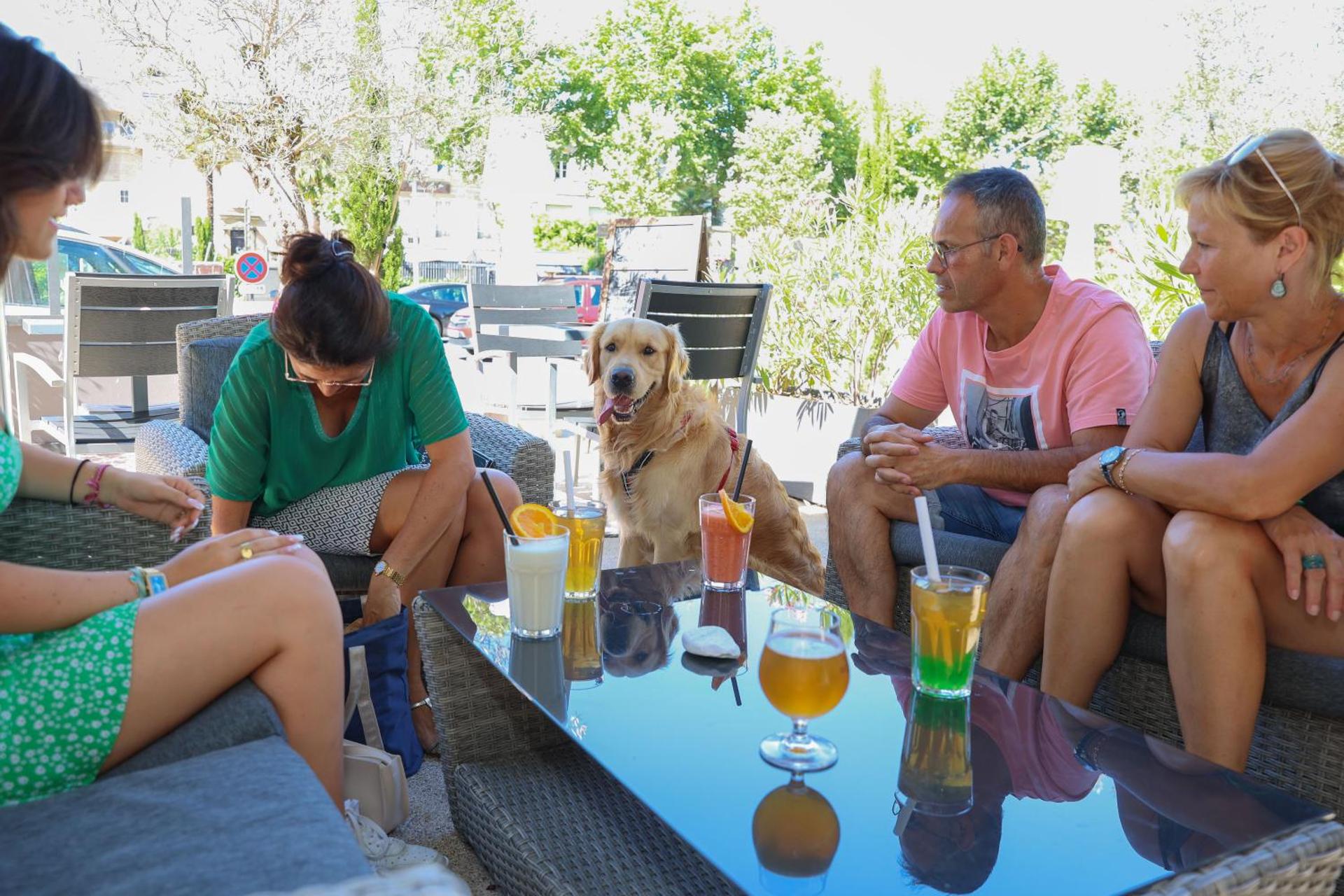 Hôtel La Réserve de Brive - Photo 63