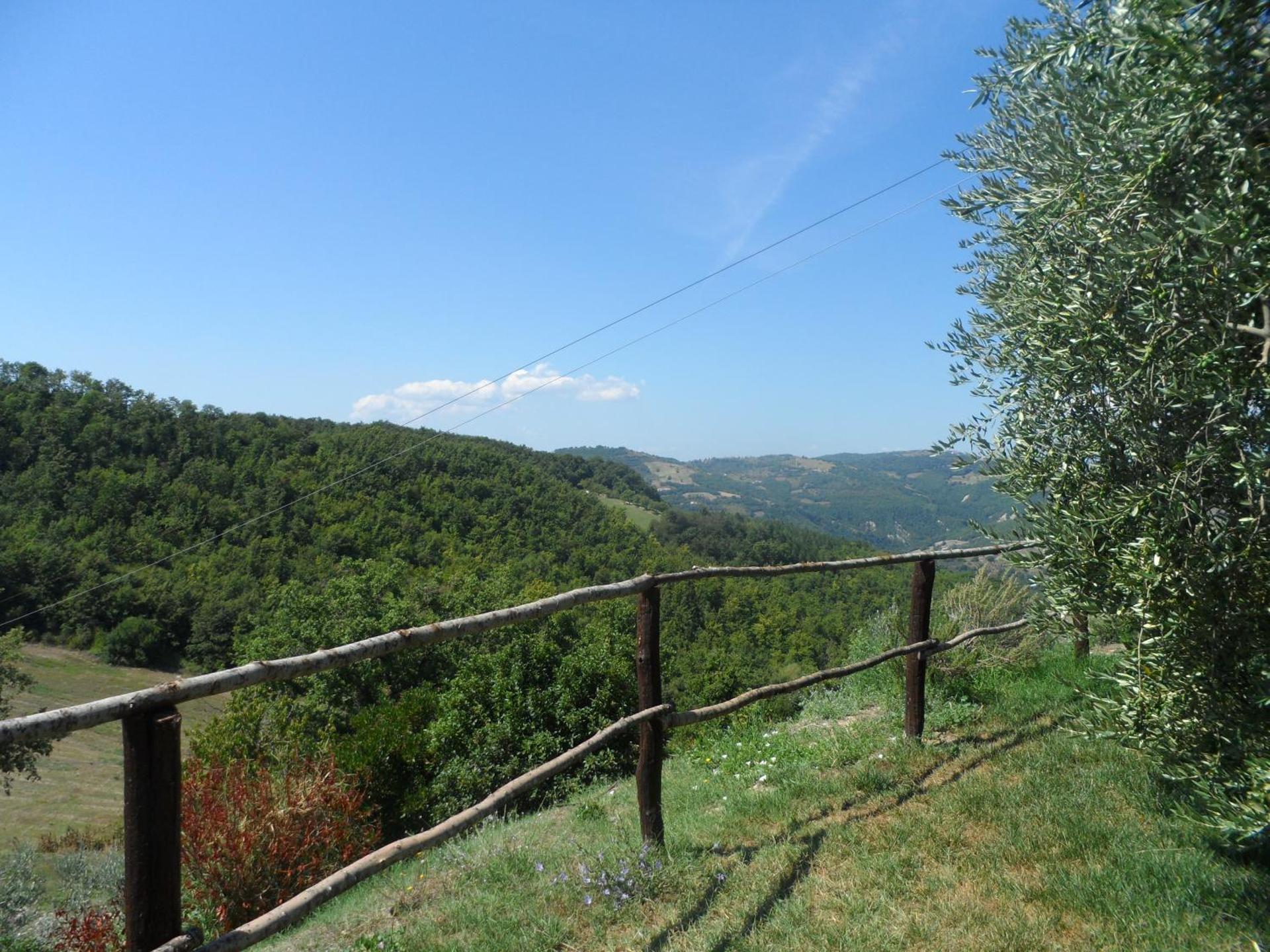 Agriturismo La Terrazza - Photo 8