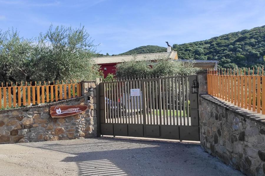 Socrates Organic Village - Wild Olive - Photo 60