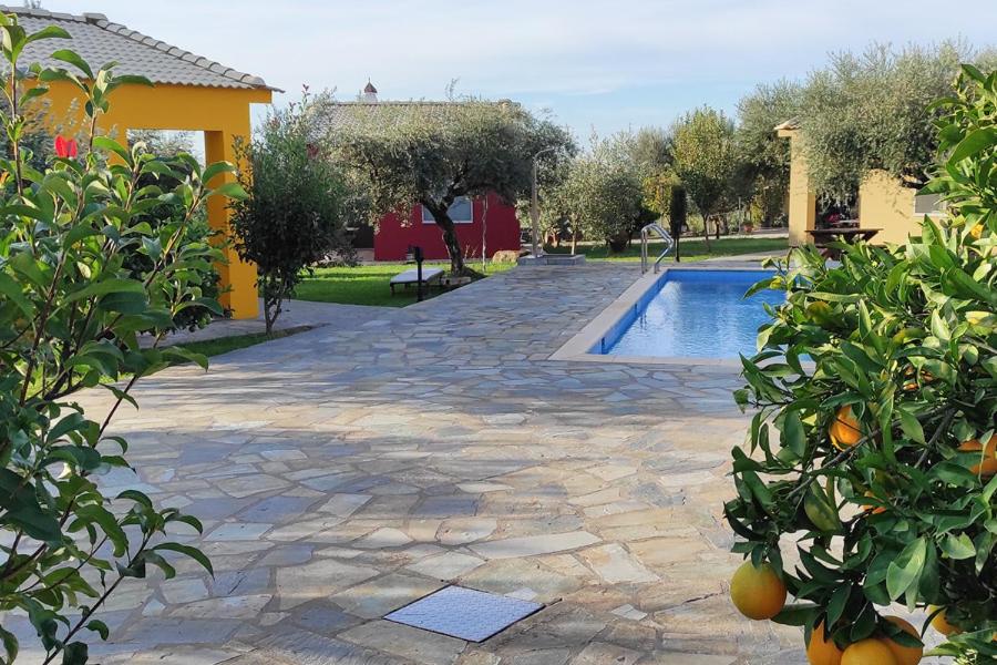 Socrates Organic Village - Wild Olive - Photo 61