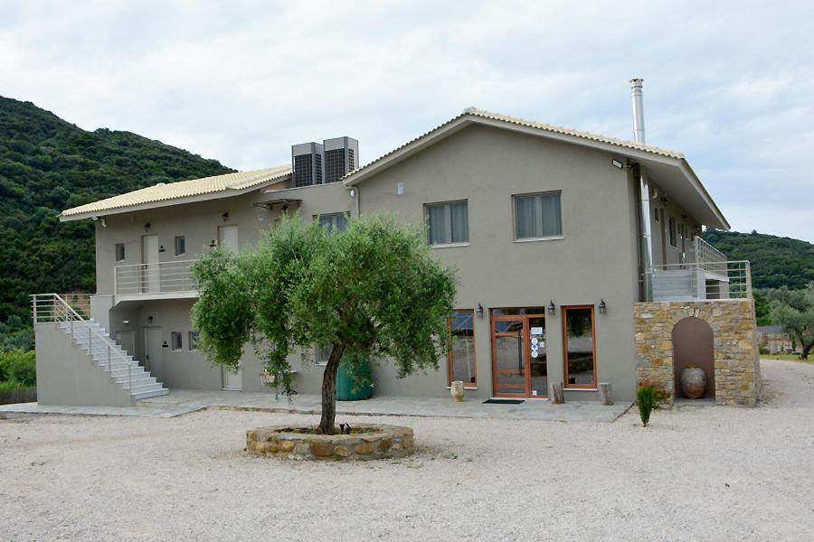 Socrates Organic Village - Wild Olive - Photo 88