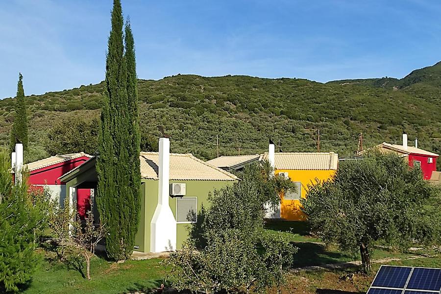 Socrates Organic Village - Wild Olive - Photo 71