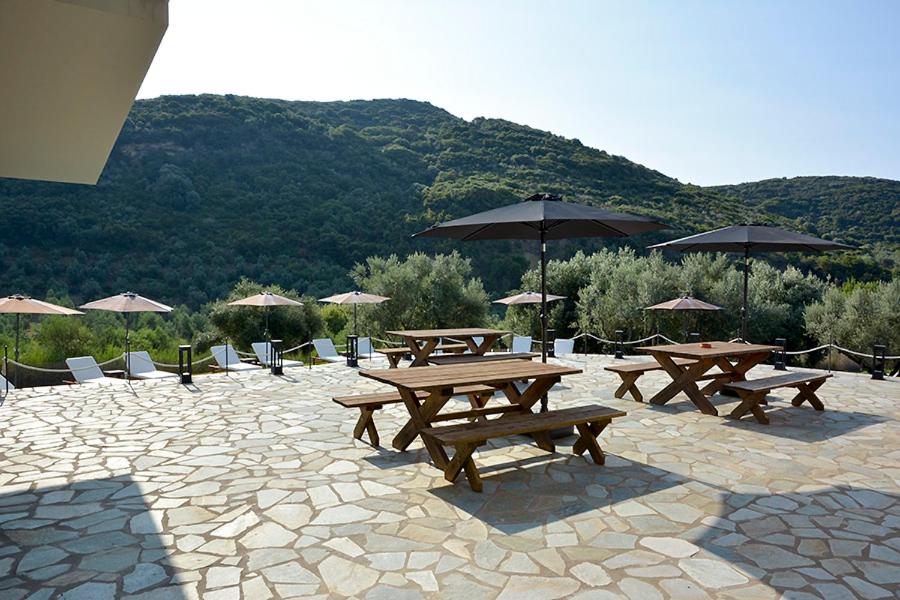 Socrates Organic Village - Wild Olive - Photo 87