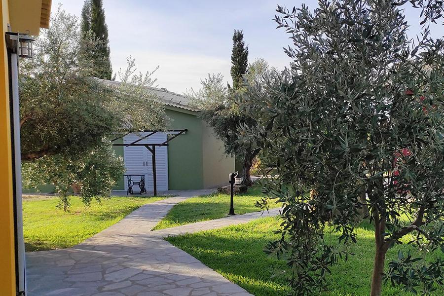 Socrates Organic Village - Wild Olive - Photo 111