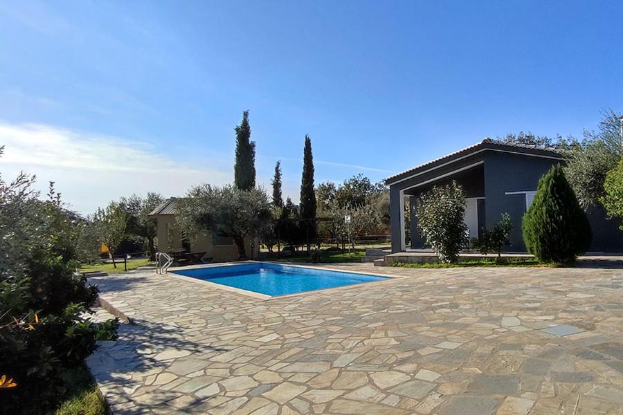 Socrates Organic Village - Wild Olive - Photo 91