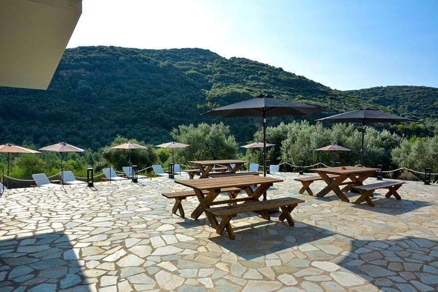 Socrates Organic Village - Wild Olive - Photo 92