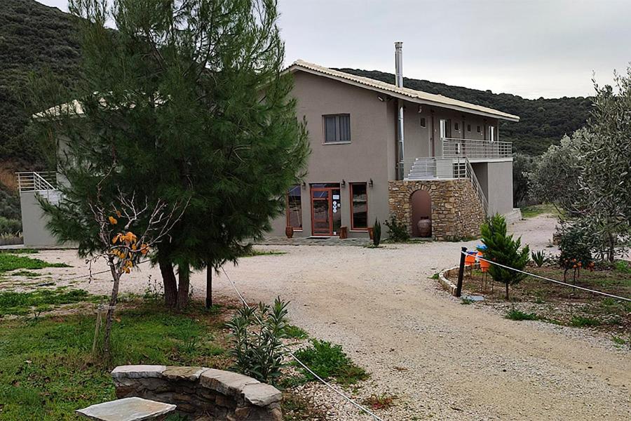 Socrates Organic Village - Wild Olive - Photo 99