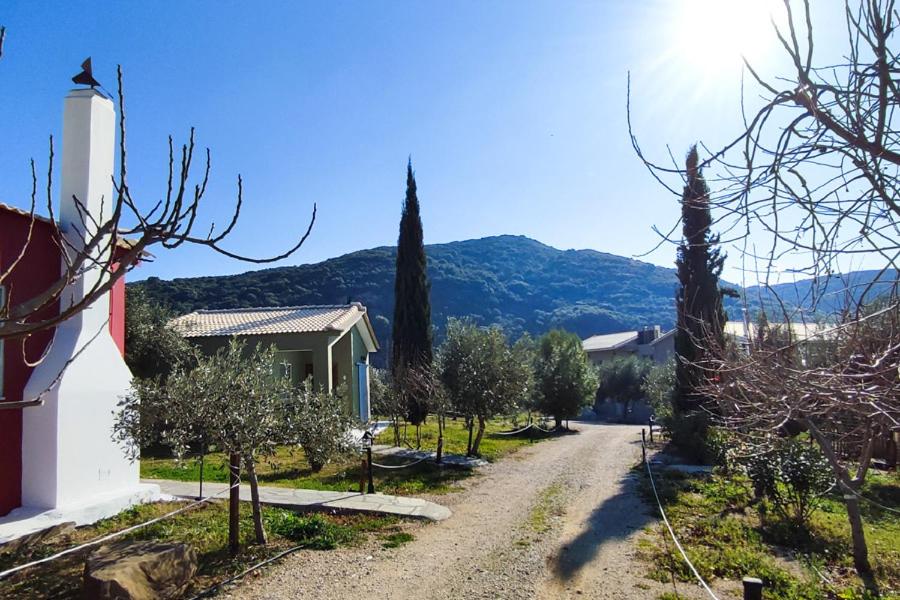 Socrates Organic Village - Wild Olive - Photo 109