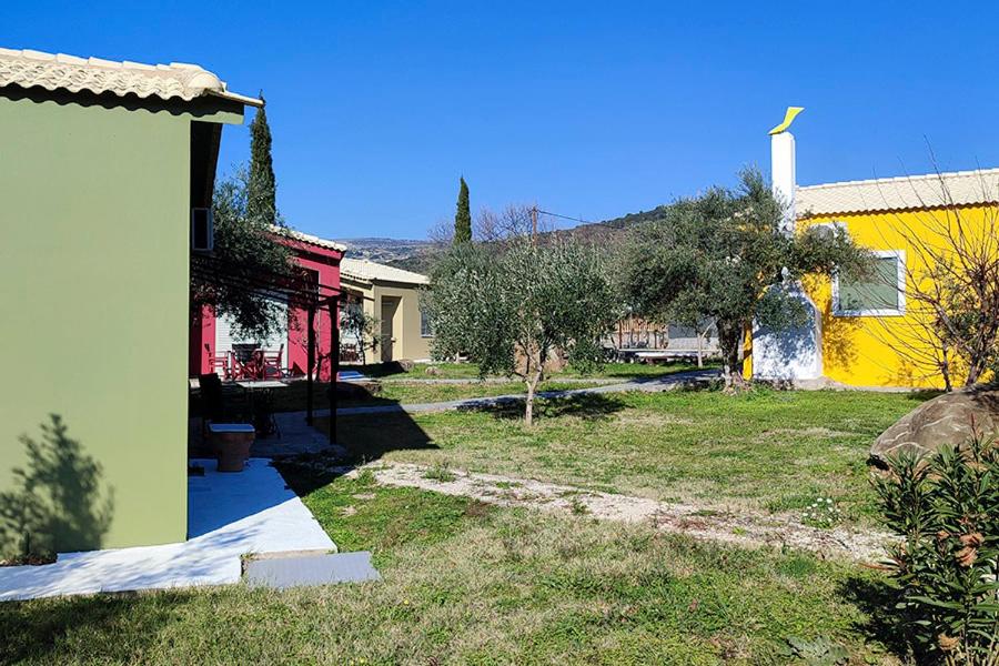 Socrates Organic Village - Wild Olive - Photo 116