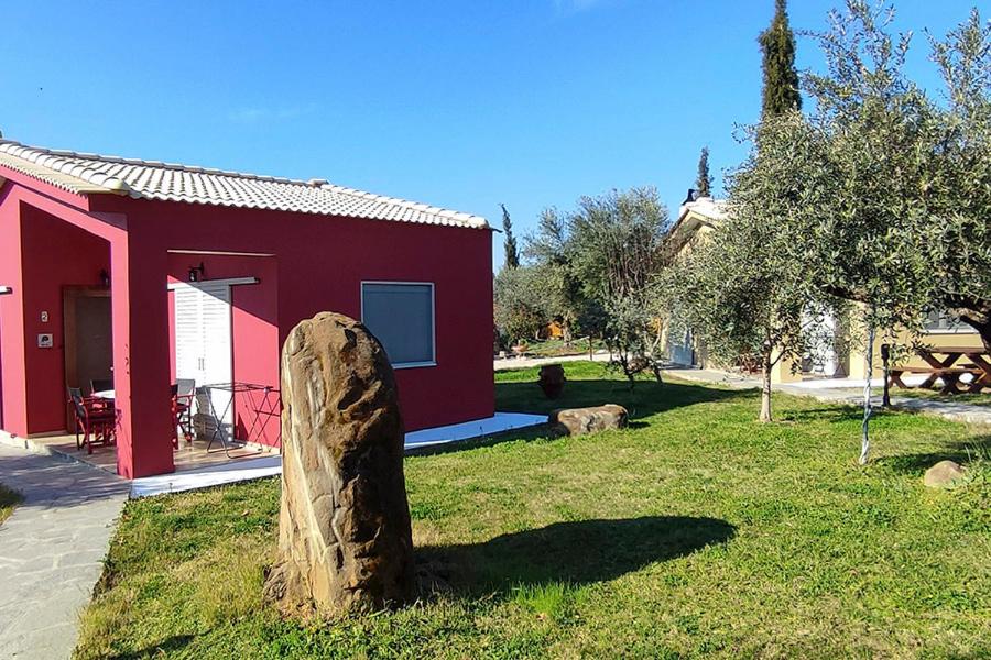 Socrates Organic Village - Wild Olive - Photo 115