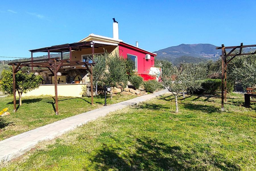 Socrates Organic Village - Wild Olive - Photo 117