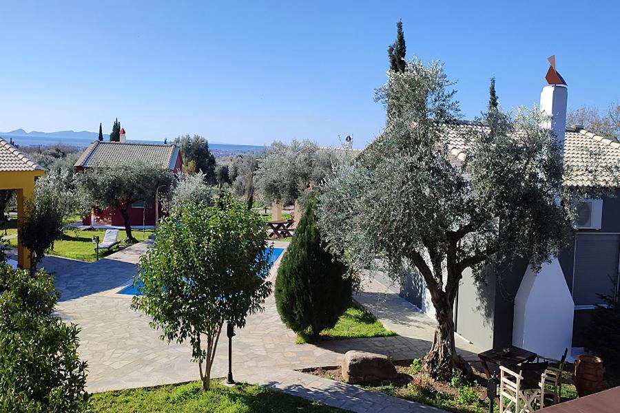 Socrates Organic Village - Wild Olive - Photo 124