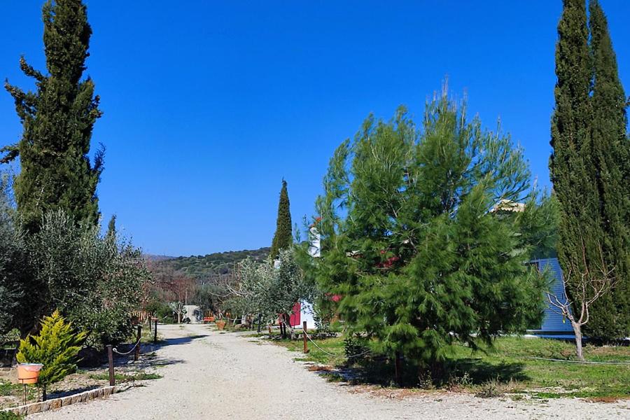 Socrates Organic Village - Wild Olive - Photo 125