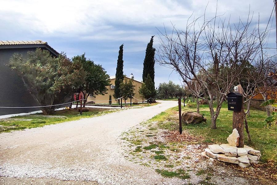 Socrates Organic Village - Wild Olive - Photo 136