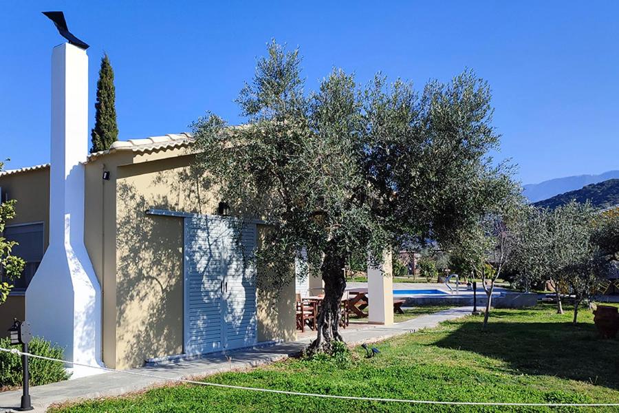Socrates Organic Village - Wild Olive - Photo 130