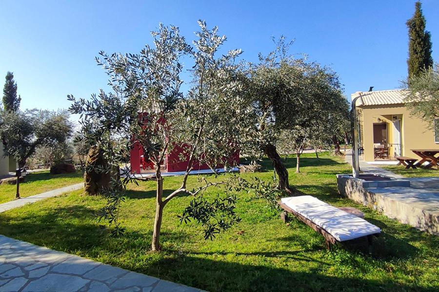 Socrates Organic Village - Wild Olive - Photo 133