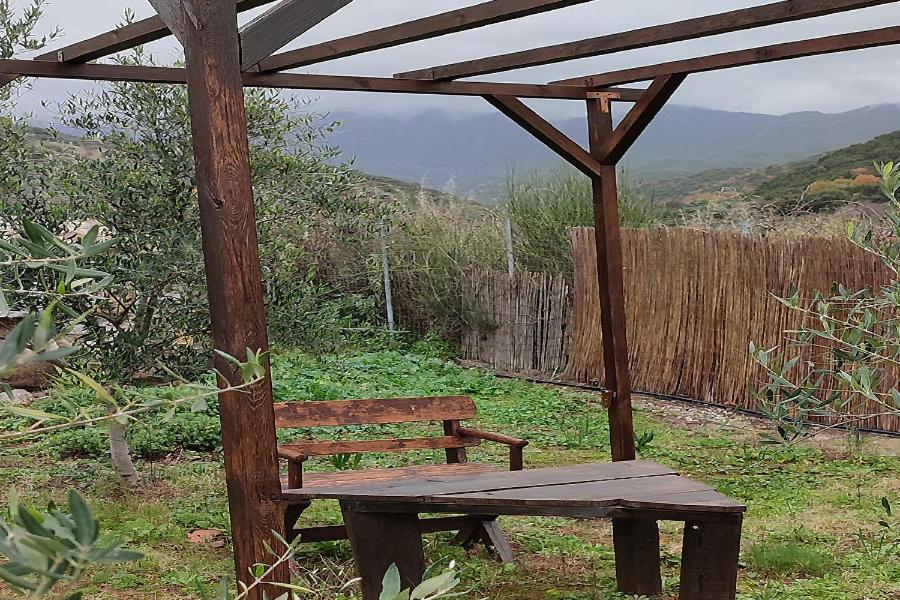 Socrates Organic Village - Wild Olive - Photo 123