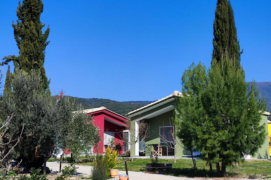 Socrates Organic Village - Wild Olive - Photo 43