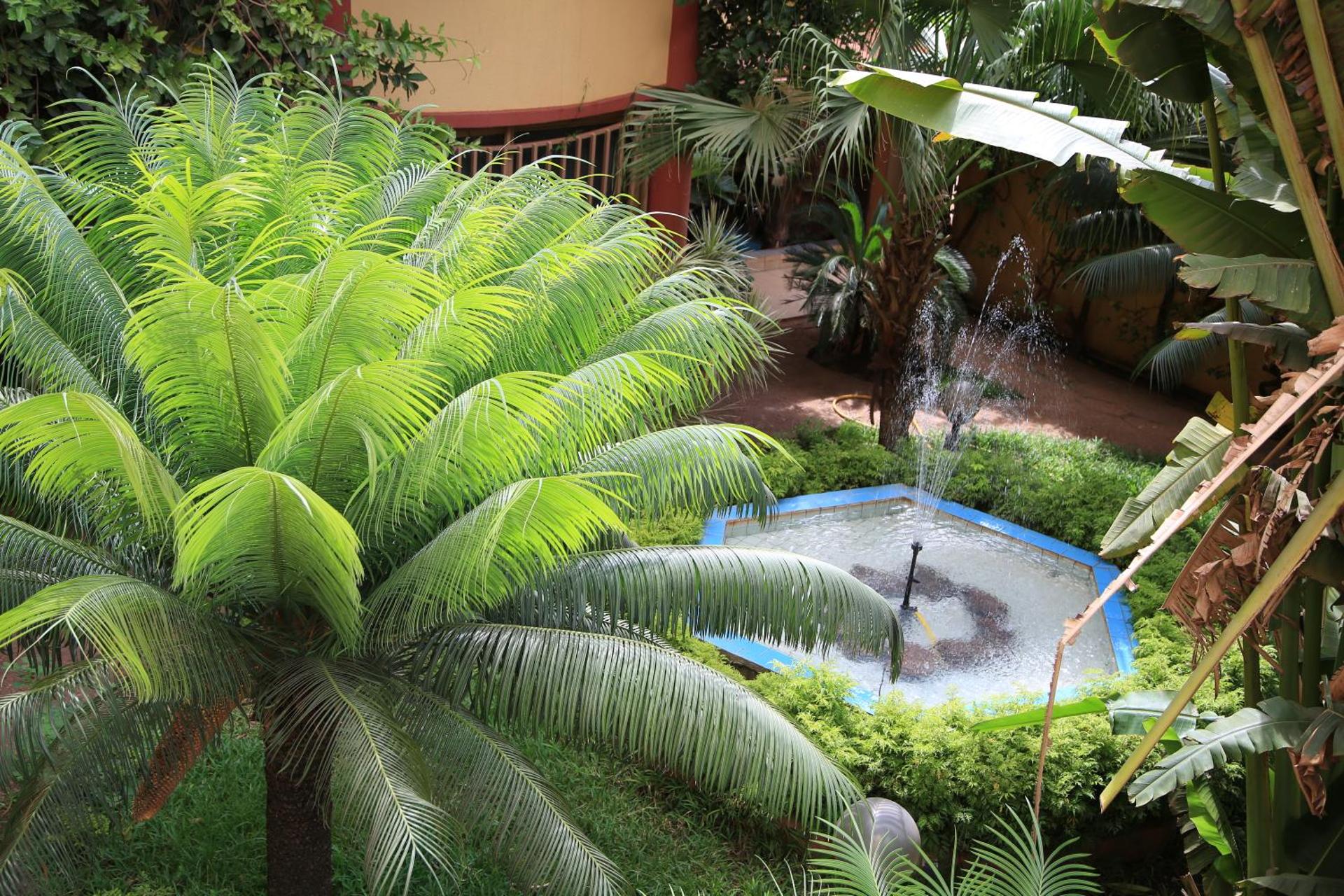 Le Baobab - Photo 13