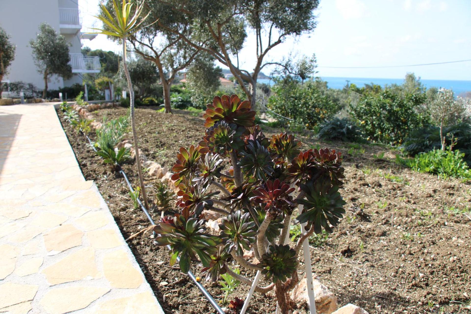 Oskars Studios & Apartments - Photo 91