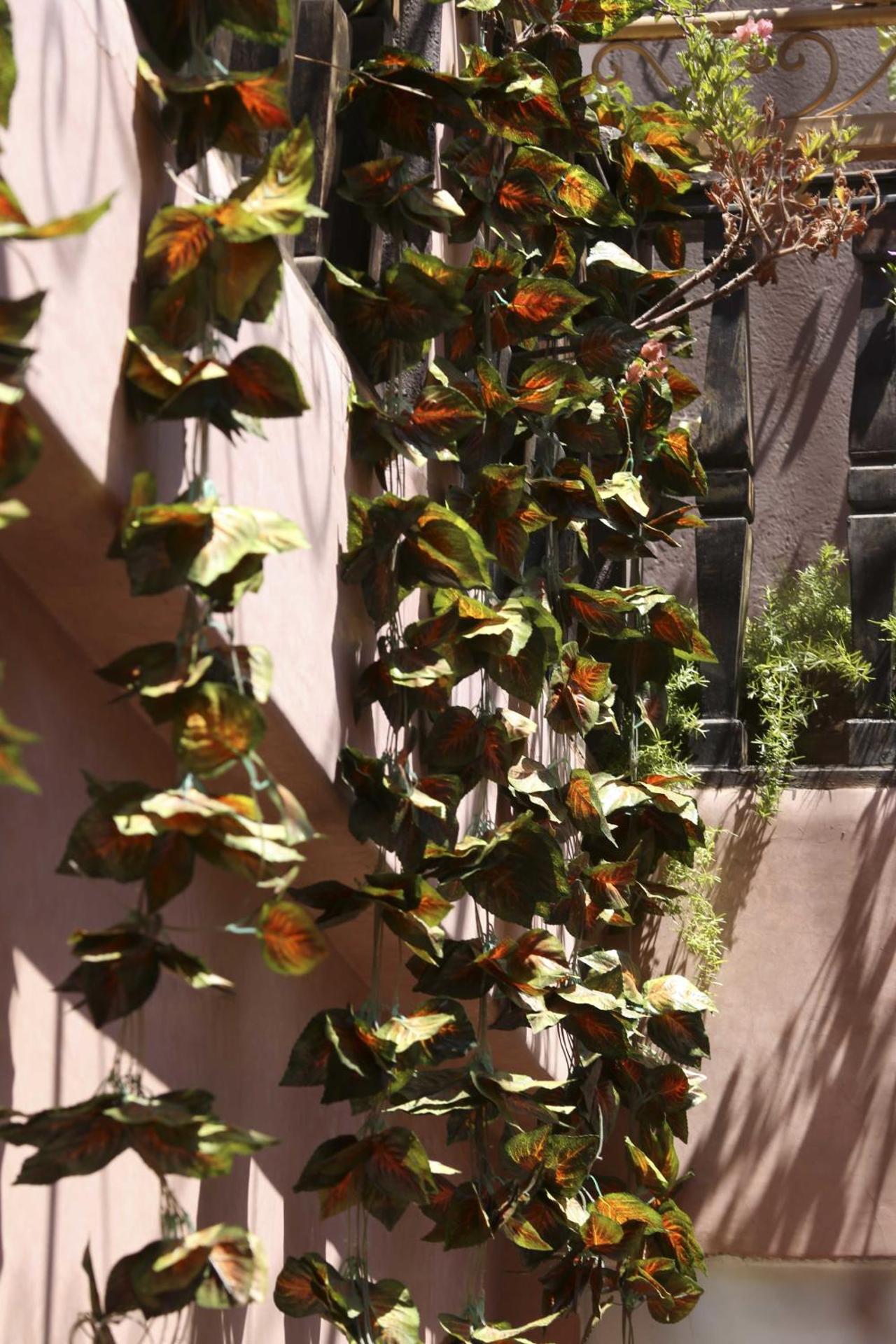 Riad Mille Et Une Nuits - Photo 121