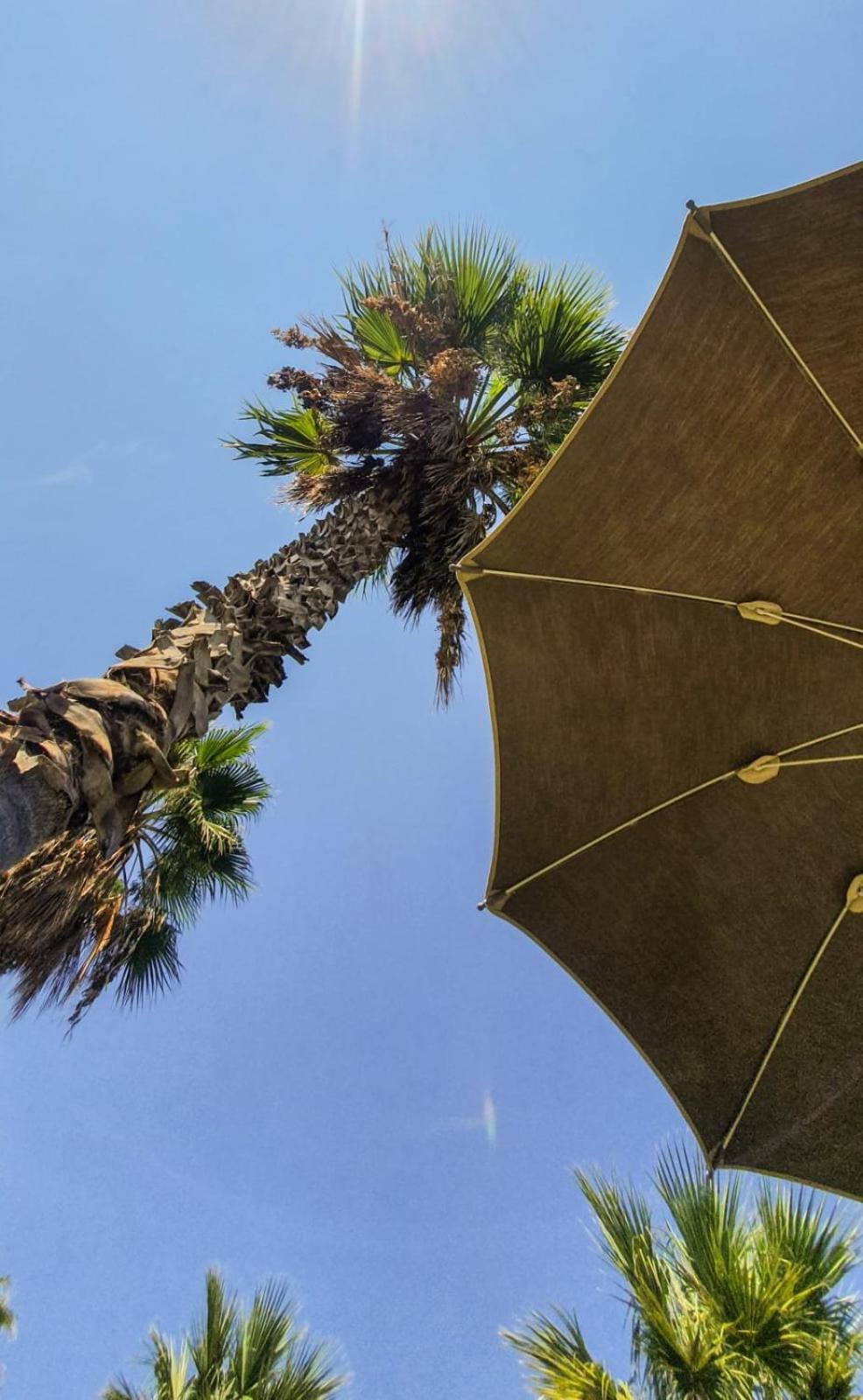 Hotel Eros - Photo 115