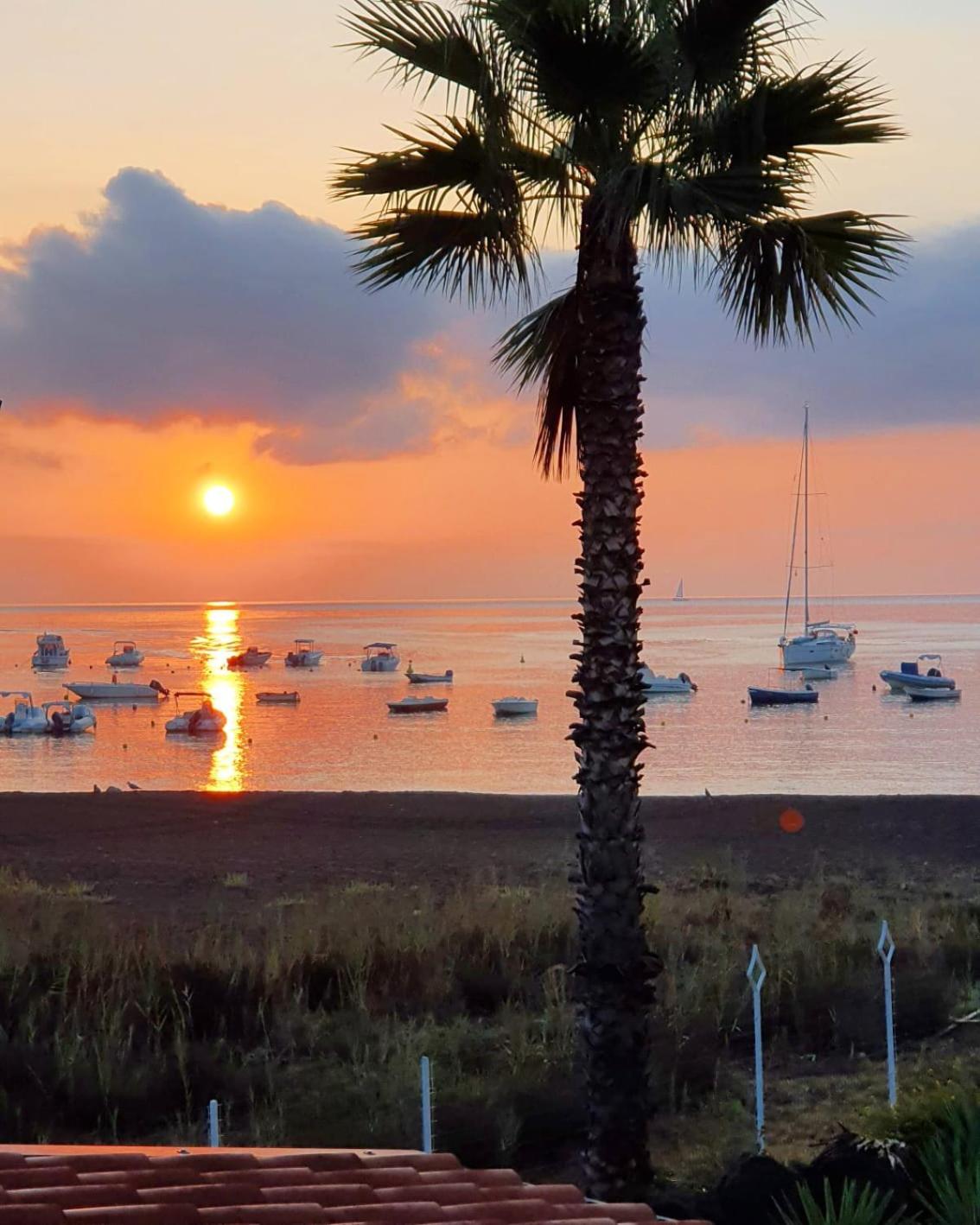 Hotel Eros - Photo 28