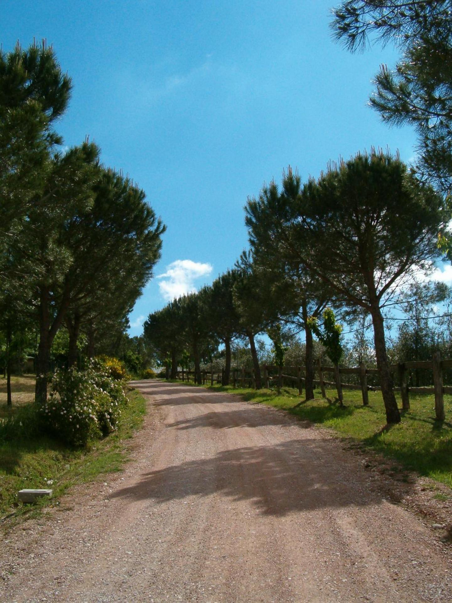 Agriturismo La Collina dei Ciliegi - Photo 59