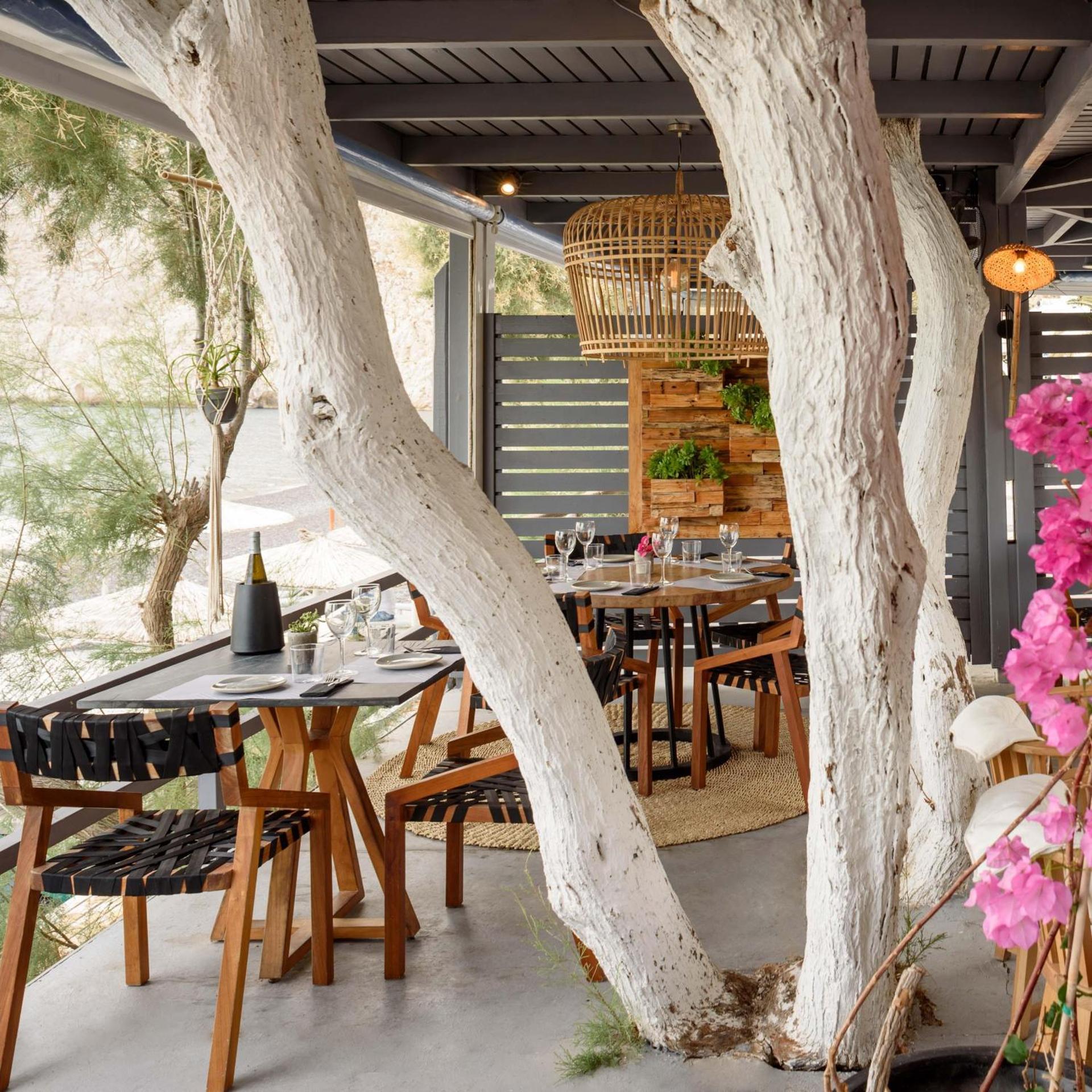 Afroditi Venus Beach Resort - Photo 213