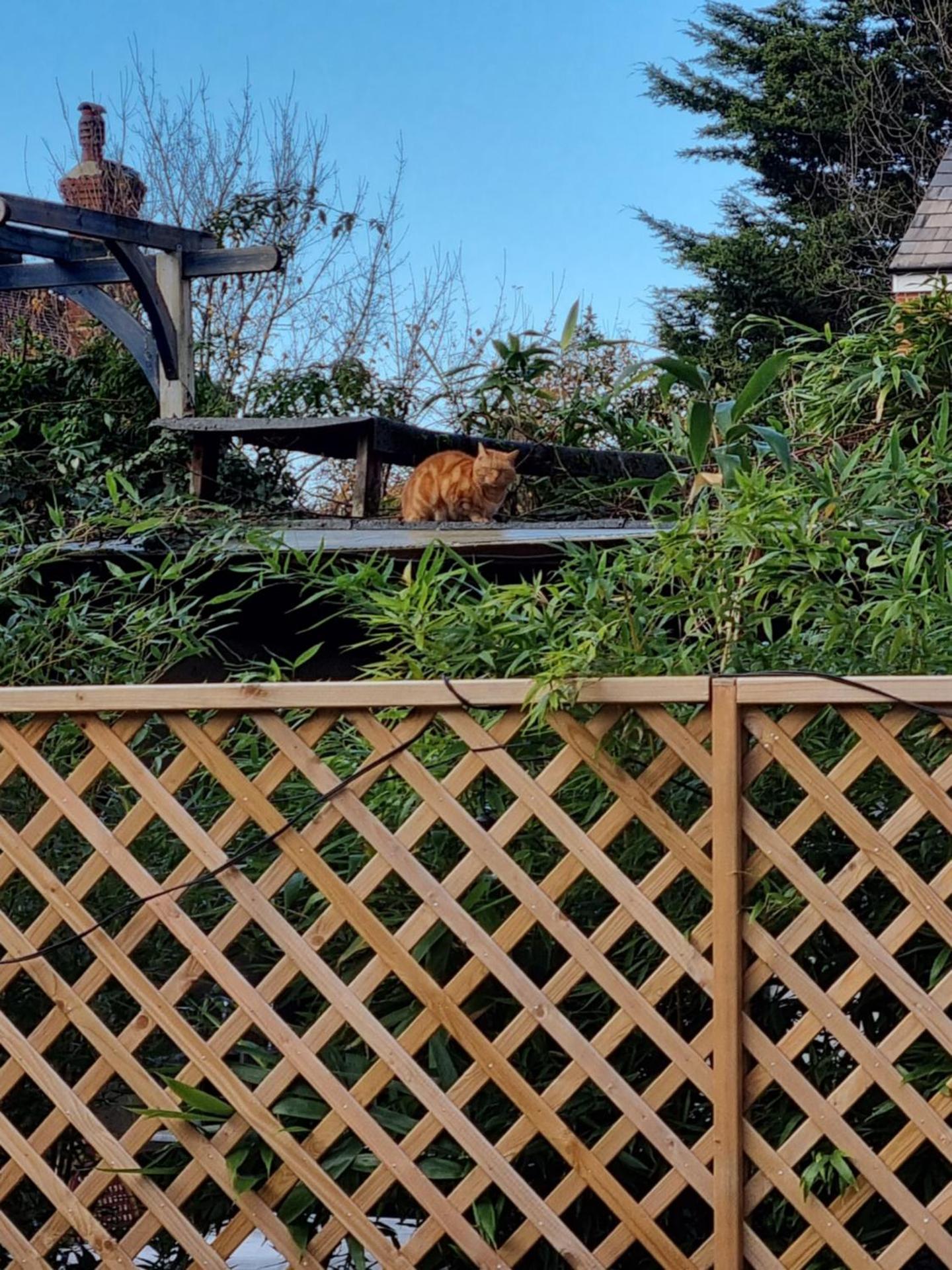 The Windmill Hotel - Photo 25