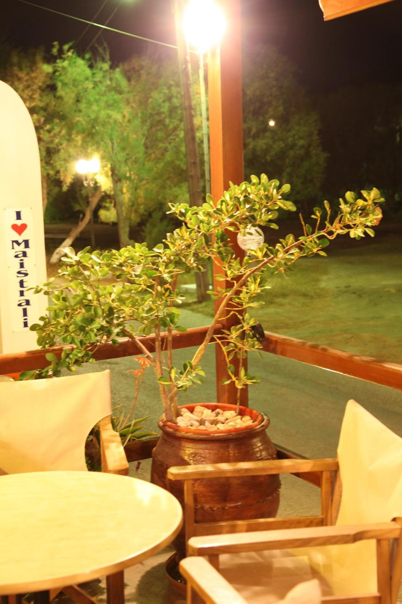 Maistrali - Photo 94