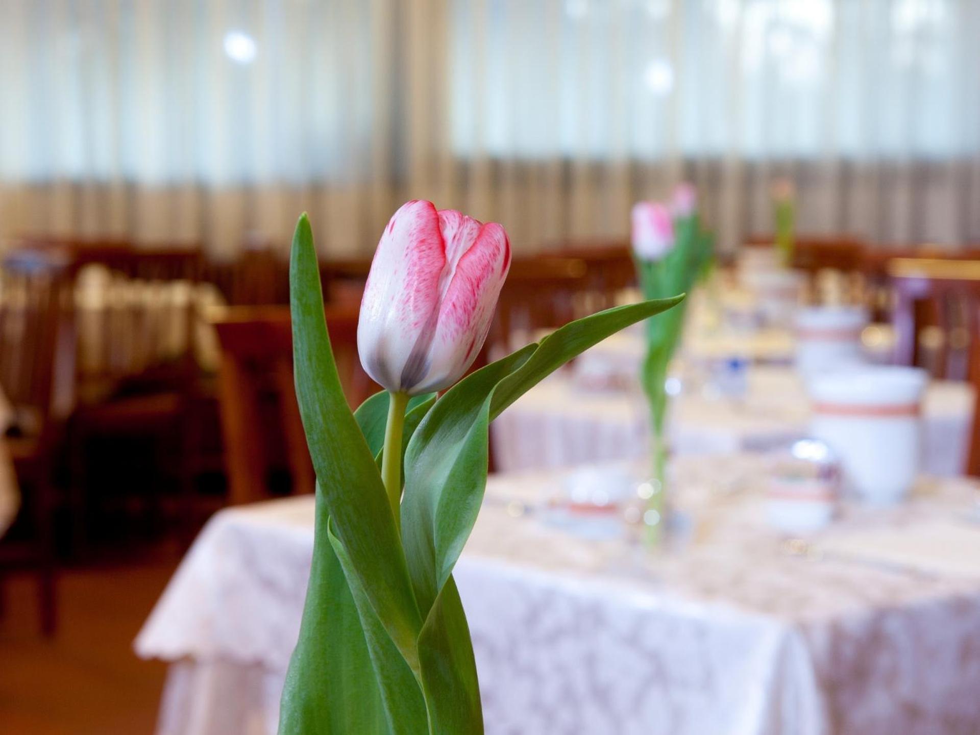 Hotel Marconi - Photo 6