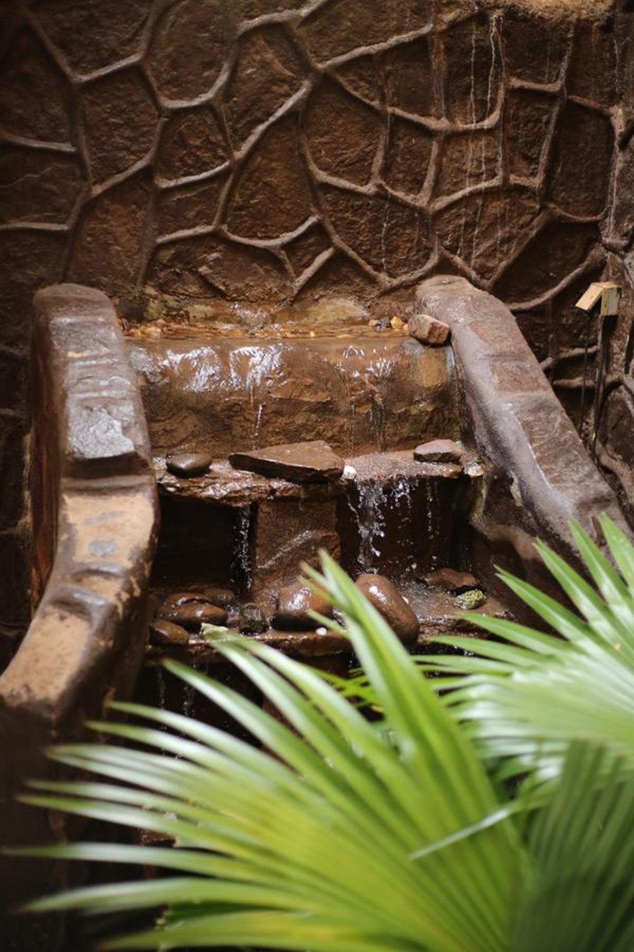 Le Baobab - Photo 15