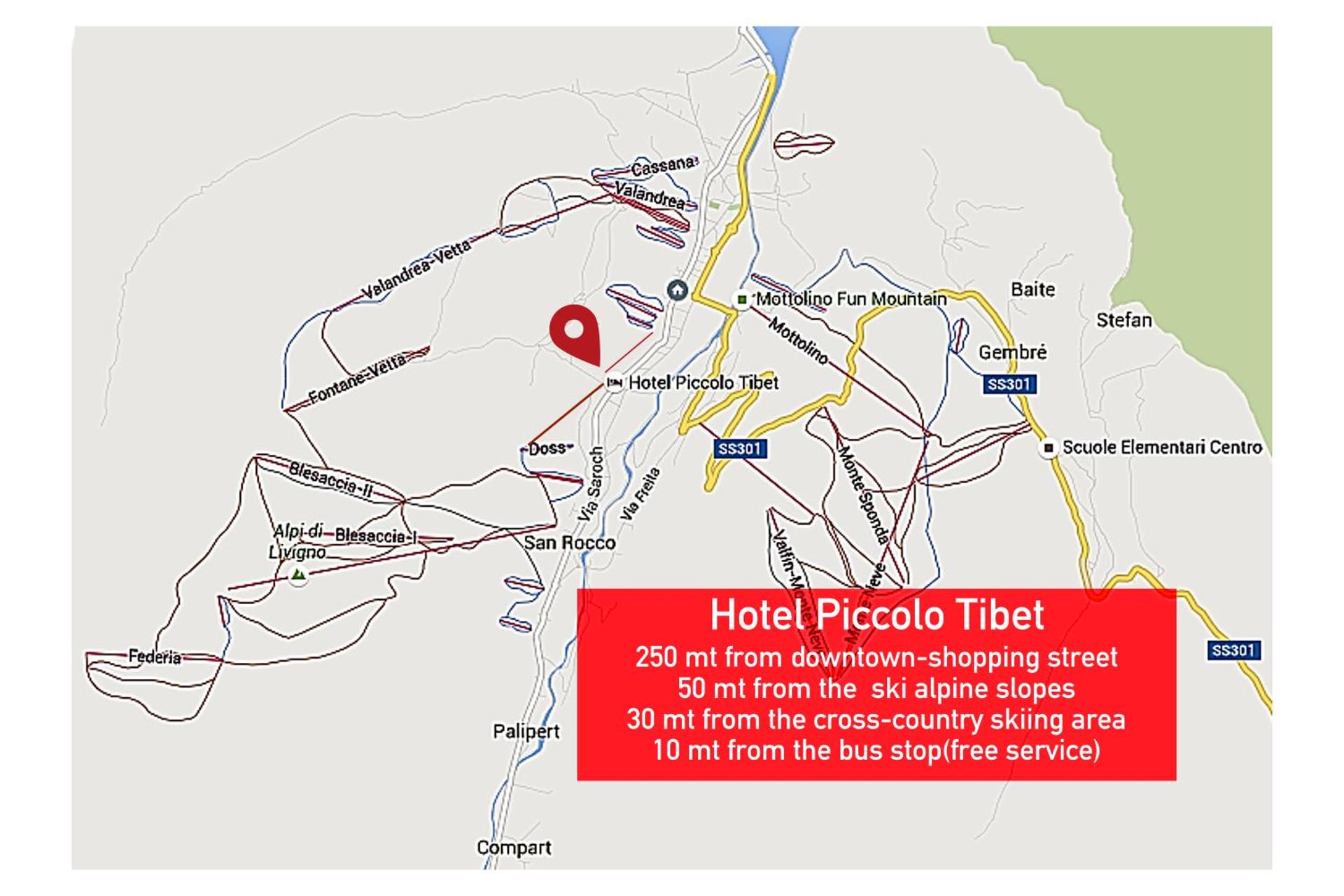 Hotel Piccolo Tibet - Photo 145