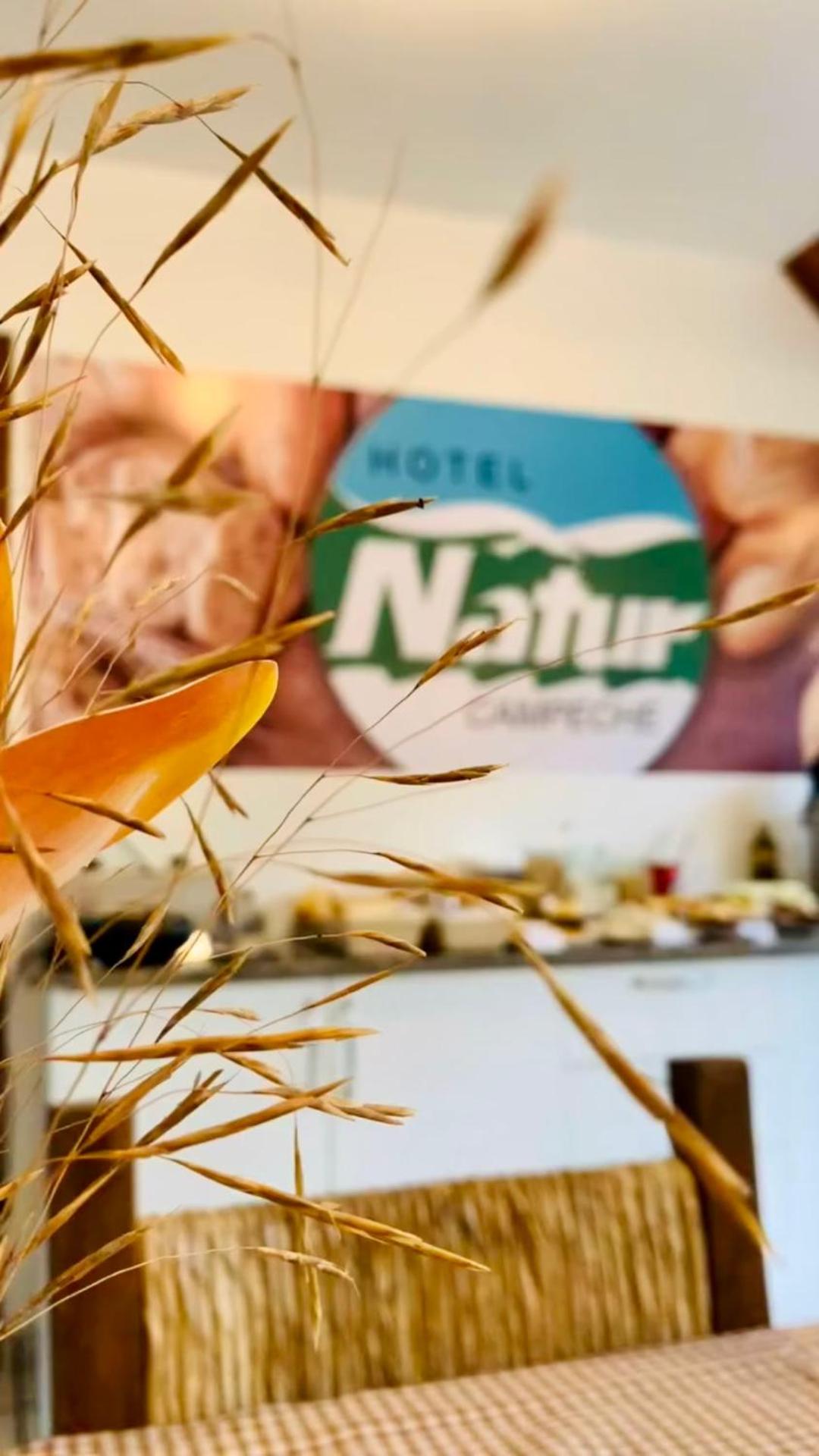 Hotel Natur Campeche - Photo 55