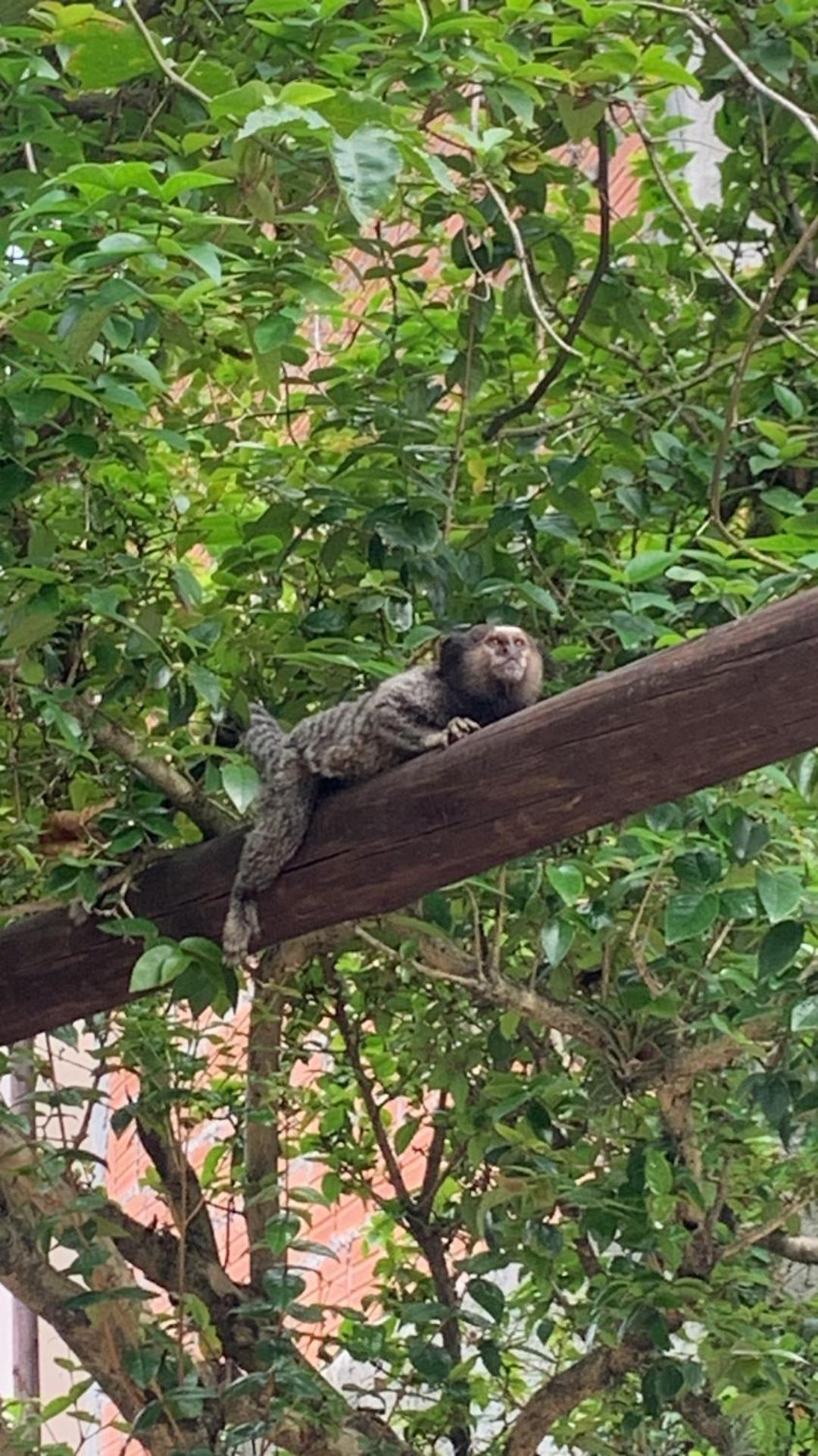 Hotel Natur Campeche - Photo 74