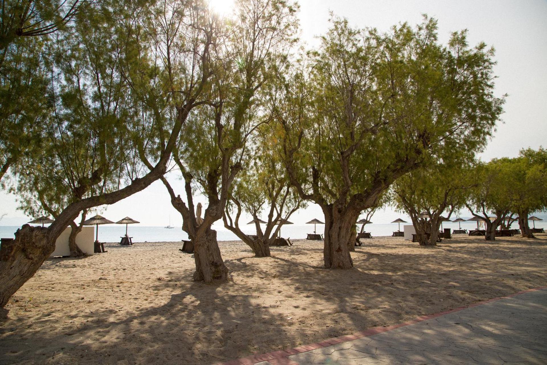 Atlantis Hotel - Photo 32