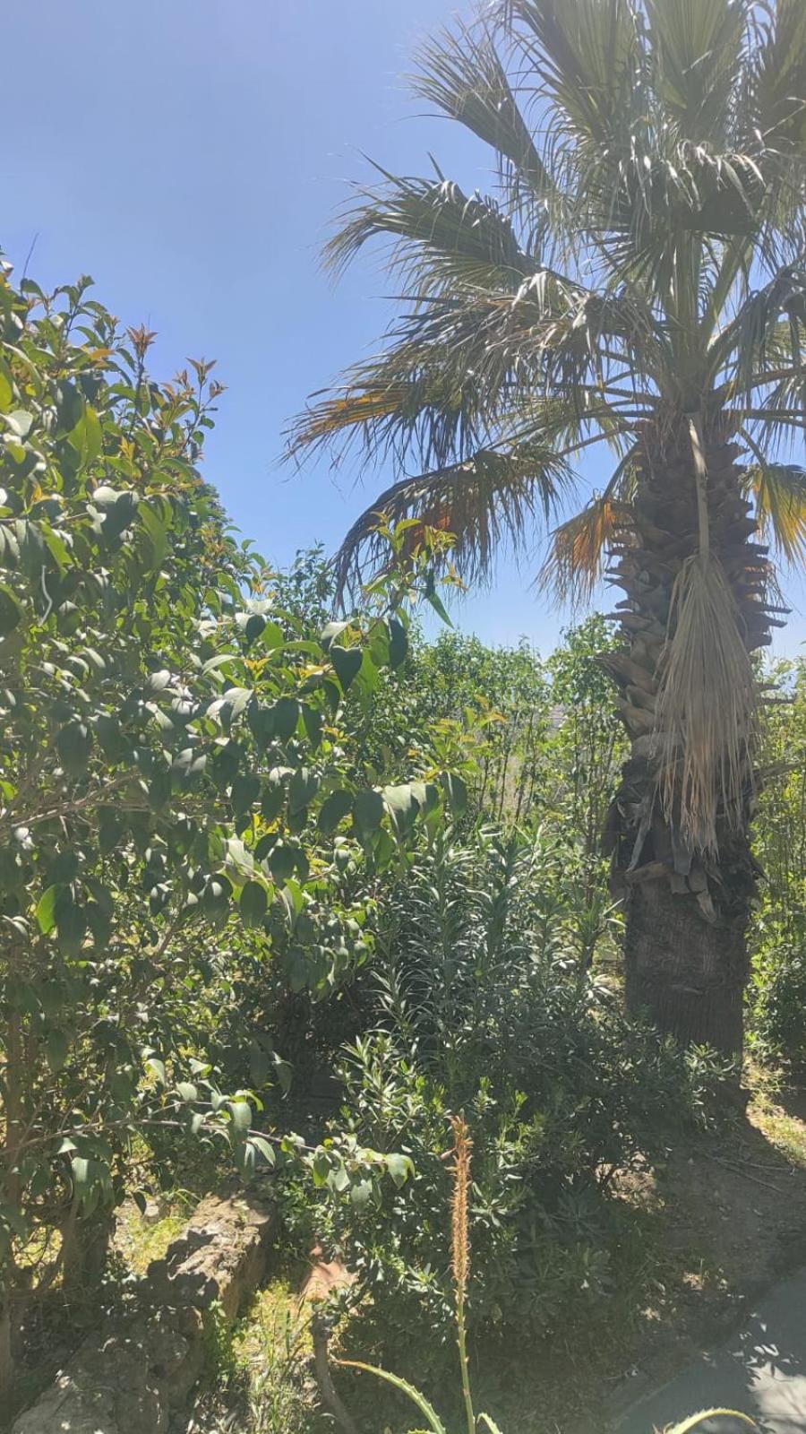 La Fattoria Dei Nonni - Photo 34