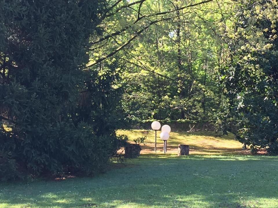 Bed&Garden - Photo 51