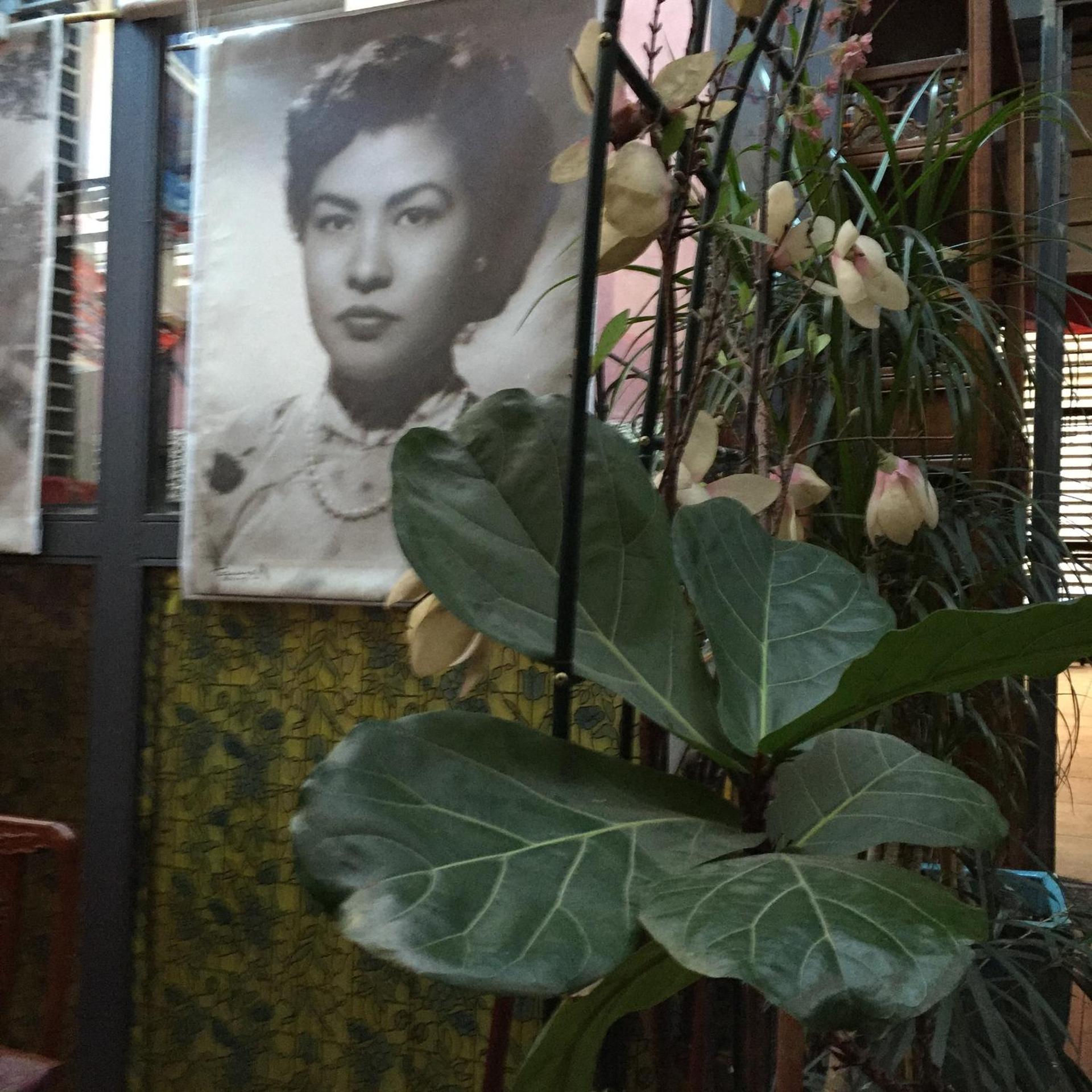 Villa Dorée - Photo 23