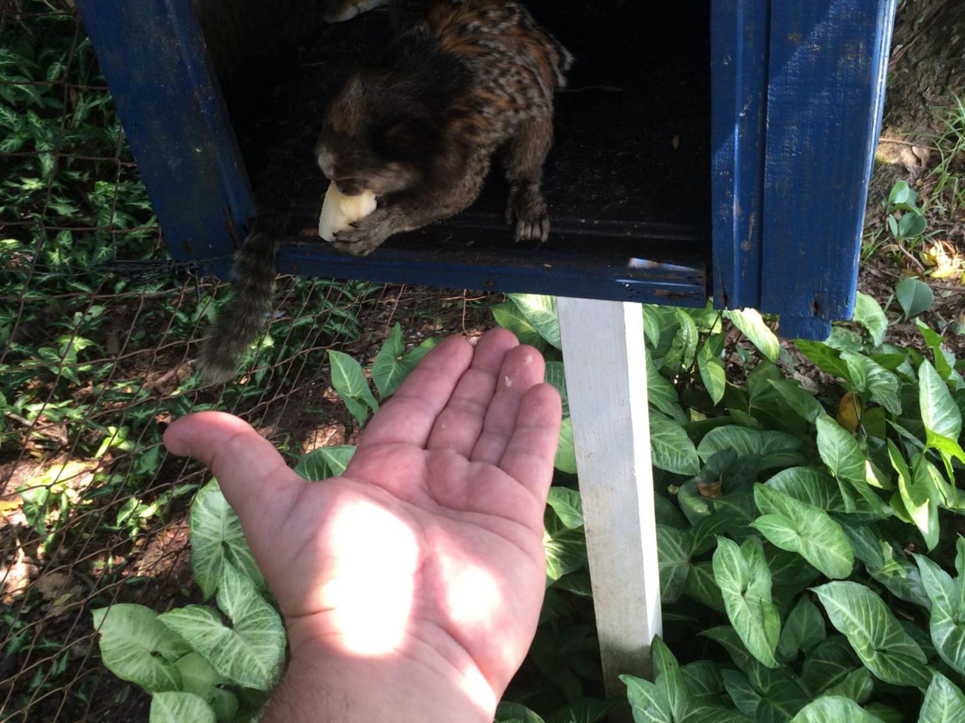 Pousada Dunasol Floripa - Photo 121