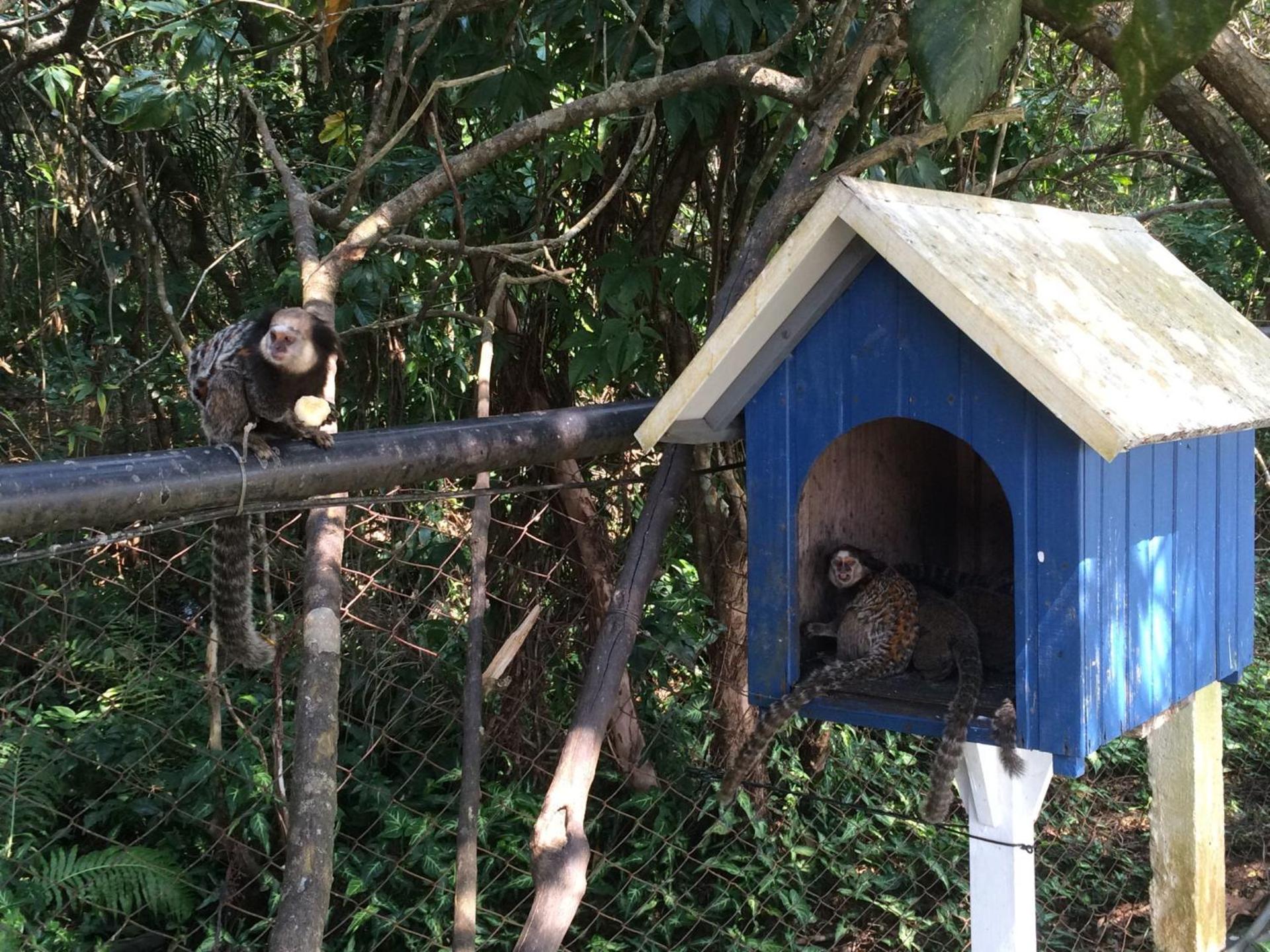 Pousada Dunasol Floripa - Photo 120