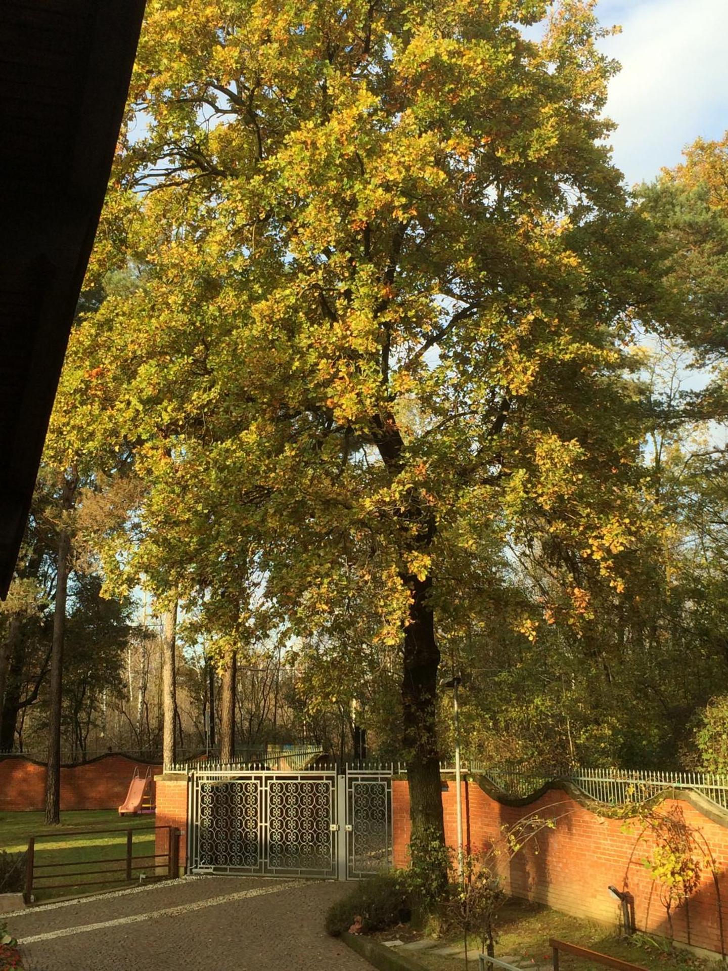 Bed&Garden - Photo 75